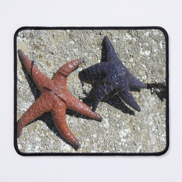 Item preview, Starfish in the Wild – Pacific Northwest Tide Pools designed and sold by starcraft542.