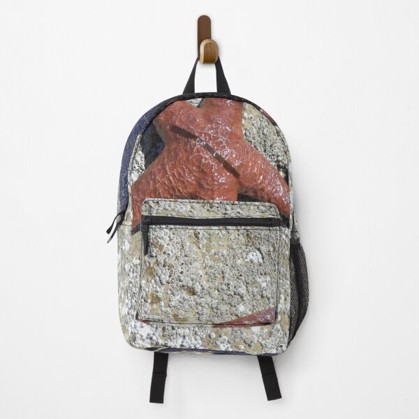 Item preview, Starfish in the Wild – Pacific Northwest Tide Pools designed and sold by starcraft542.