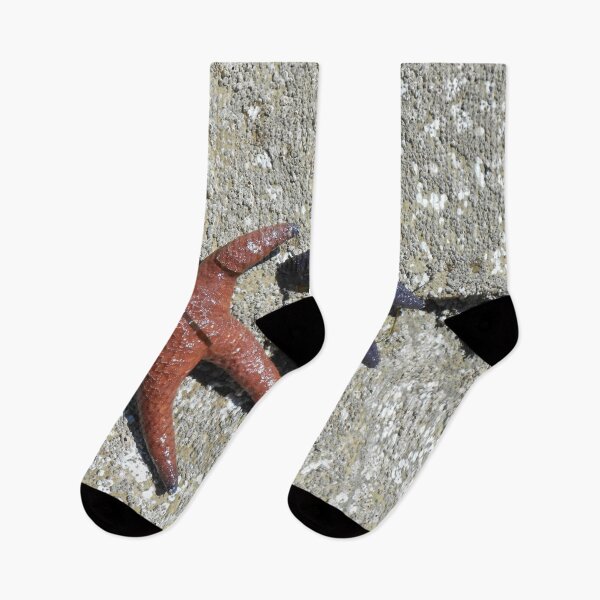 Item preview, Starfish in the Wild – Pacific Northwest Tide Pools designed and sold by starcraft542.