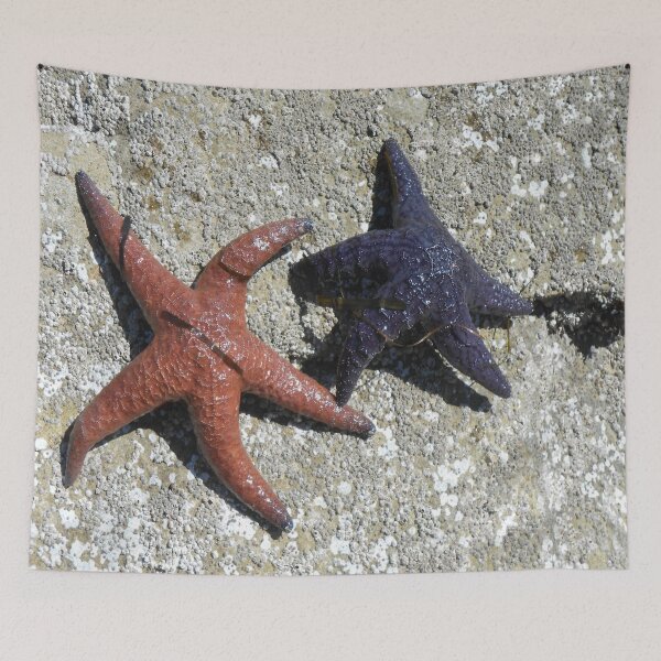 Item preview, Starfish in the Wild – Pacific Northwest Tide Pools designed and sold by starcraft542.