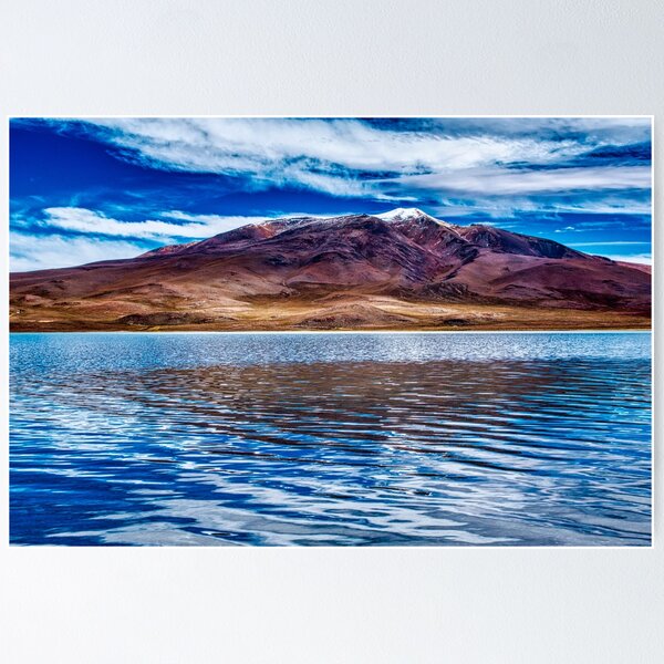 Photo de la Laguna de Vilama Poster