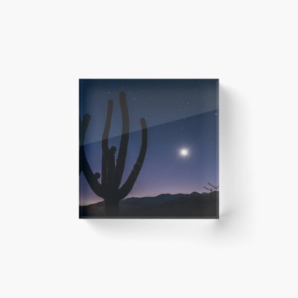 Item preview, night photo of a cactus in the moonlight designed and sold by Keltoi-art.