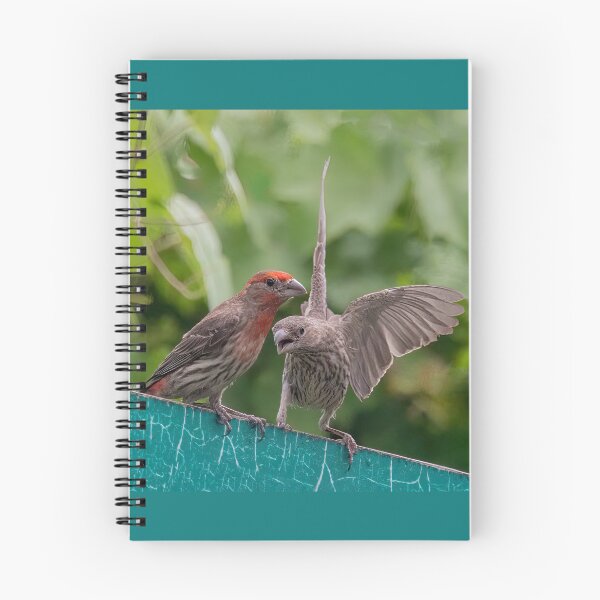 Item preview, House Sparrow Pair  designed and sold by CarolM.