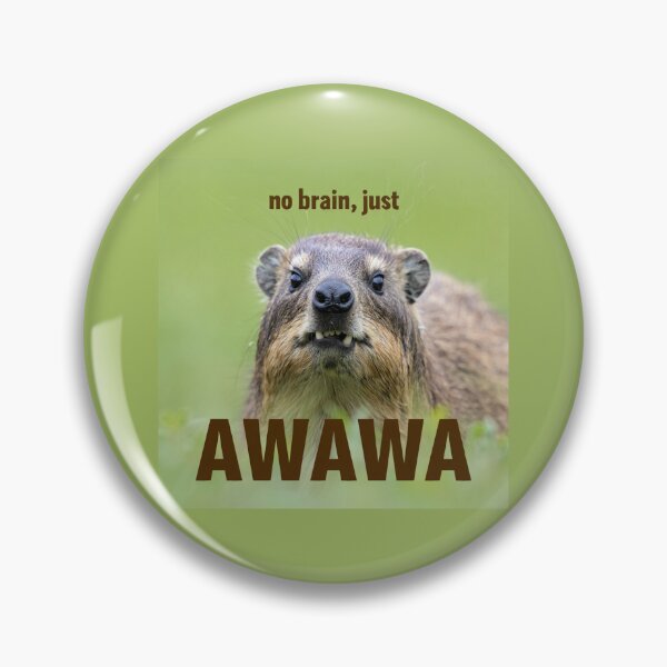 Item preview, no brain, just awawa hyrax  designed and sold by funkyfrogz.