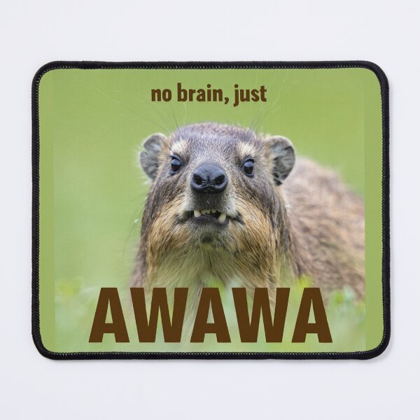 Item preview, no brain, just awawa hyrax designed and sold by funkyfrogz.