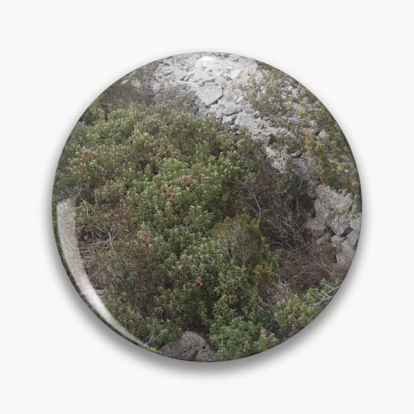 Item preview, ETERNAL DALMATIA designed and sold by Darko-s.