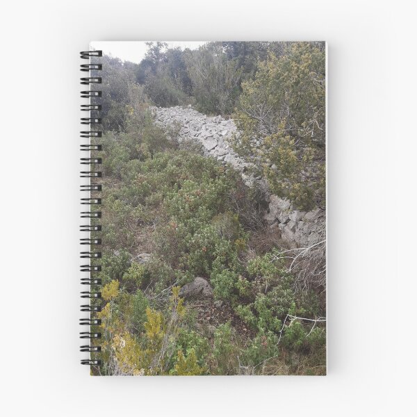 Item preview, ETERNAL DALMATIA designed and sold by Creative artist shop.