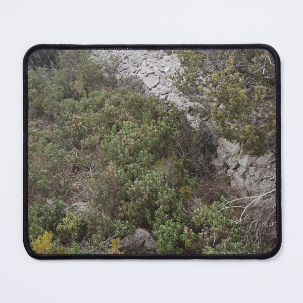 Item preview, ETERNAL DALMATIA designed and sold by Creative artist shop.
