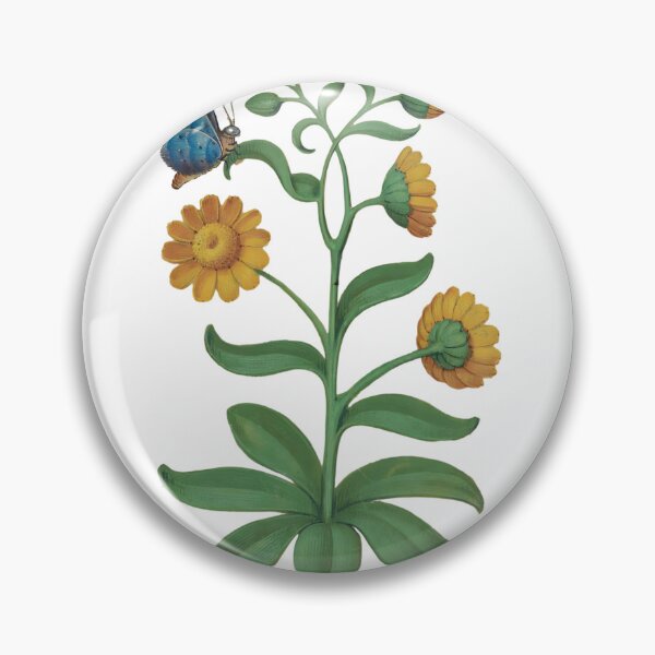 Item preview, Calendula Botanical Drawing Master Claude Butterfly designed and sold by CrowCottage51.