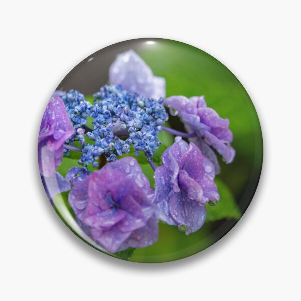 Item preview, Purple hydrangea with dew droplets designed and sold by Bentenya.