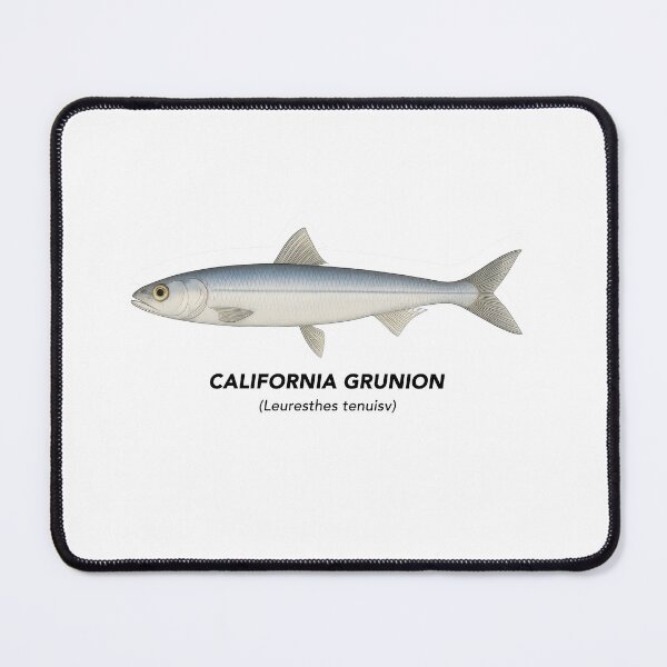 Item preview, California Grunion – Marine Animals of California designed and sold by CaliforniaVibe.