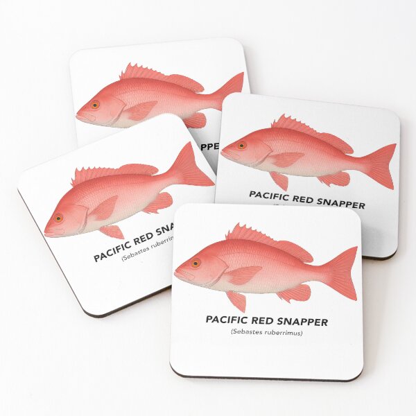 Item preview, Pacific Red Snapper – Marine Animals of California designed and sold by CaliforniaVibe.
