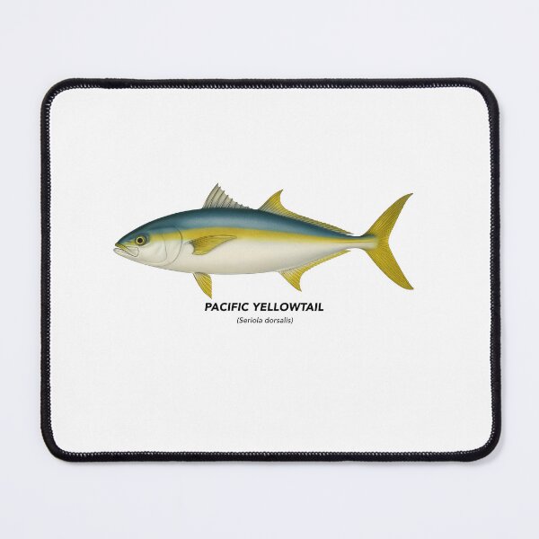 Item preview, Pacific Yellowtail – Marine Animals of California designed and sold by CaliforniaVibe.