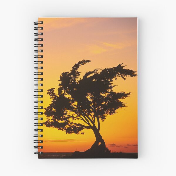 Item preview, Bodhi Tree  designed and sold by Scott Collins.