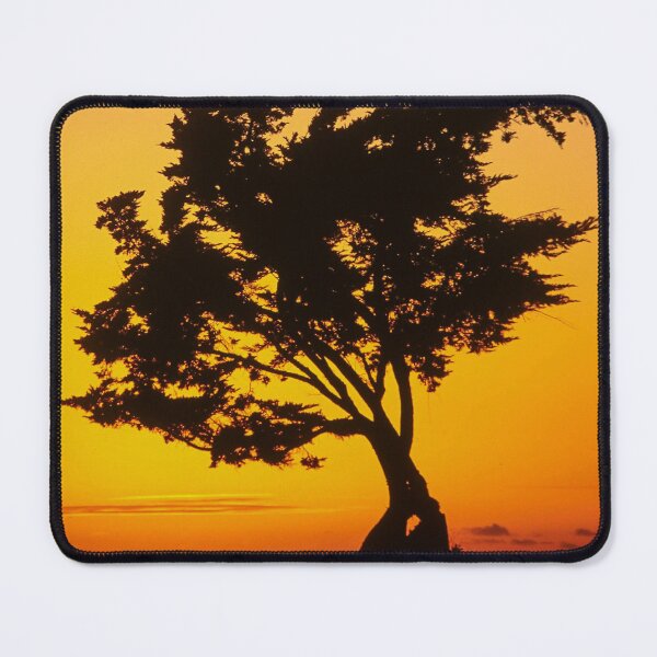 Item preview, Bodhi Tree designed and sold by Scott Collins.