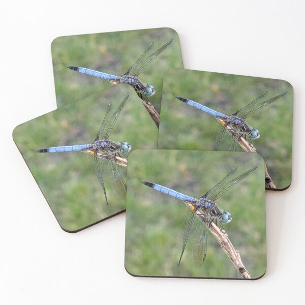 Item preview, Blue Dragonfly designed and sold by STEM Factually.