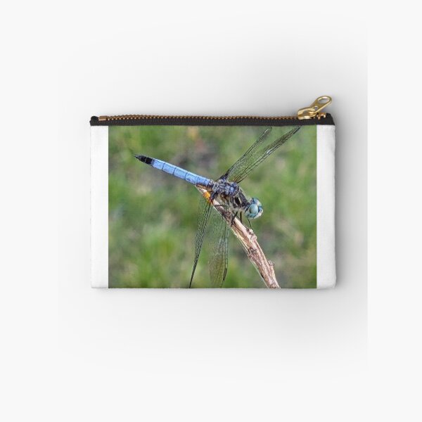 Item preview, Blue Dragonfly designed and sold by STEM Factually.