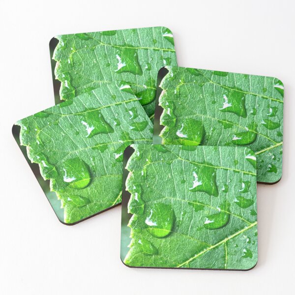 Item preview, Vivid leaf photograph designed and sold by GiSilver.