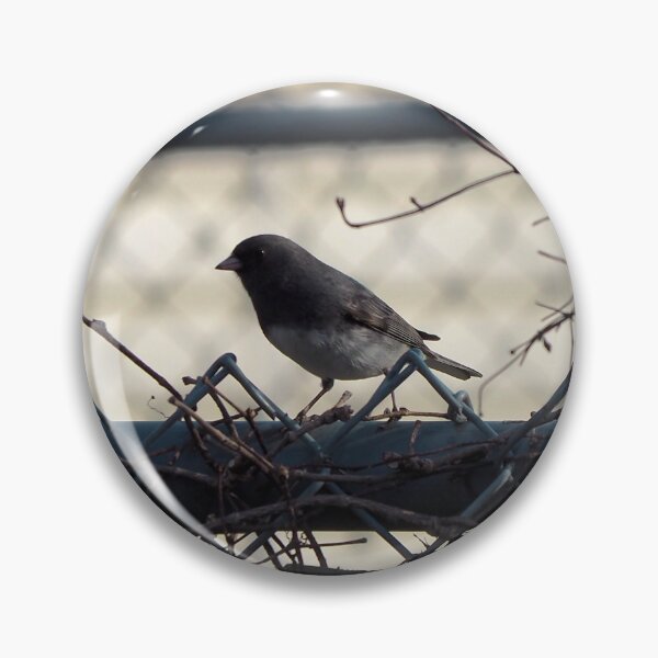 Item preview, Dark-eyed Junco On a Fence designed and sold by BackyardBirder.