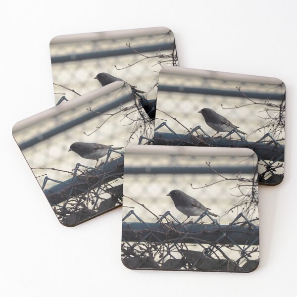 Item preview, Dark-eyed Junco On a Fence designed and sold by BackyardBirder.