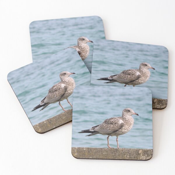 Item preview, Gaviota parada junto a un lago designed and sold by BackyardBirder.