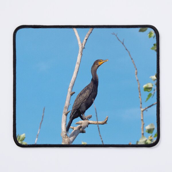 Item preview, Cormorant Watching From a Tree designed and sold by BackyardBirder.