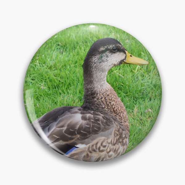 Item preview, Cute Duck Standing On The Grass designed and sold by BackyardBirder.