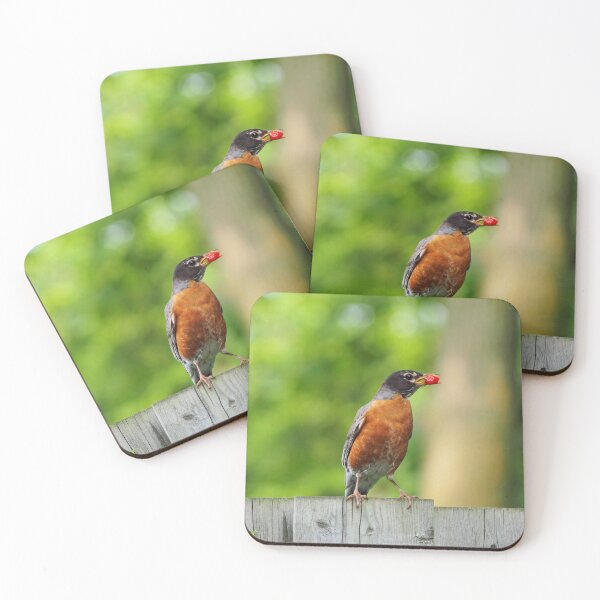 Item preview, American Robin With a Berry In Its Beak designed and sold by BackyardBirder.