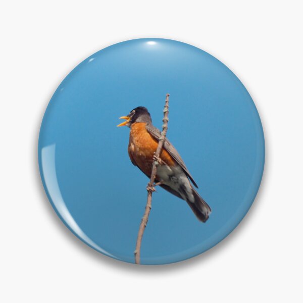 Item preview, American Robin Perched High On a Tree Branch designed and sold by BackyardBirder.