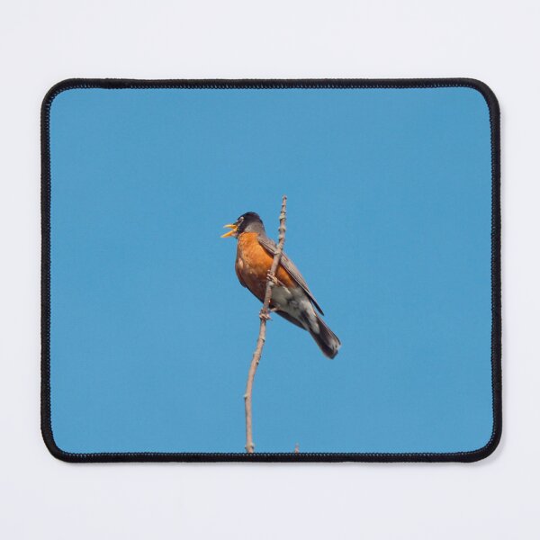 Item preview, American Robin Perched High On a Tree Branch designed and sold by BackyardBirder.