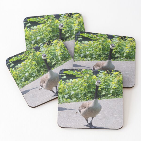 Item preview, Canada Goose Stretching Its Neck designed and sold by BackyardBirder.