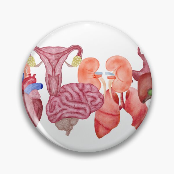 Item preview, organs designed and sold by GabriellaGaras.