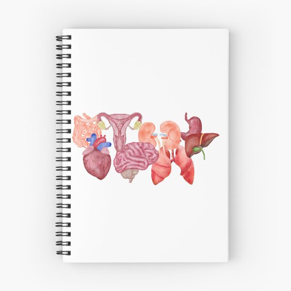 Item preview, organs designed and sold by GabriellaGaras.