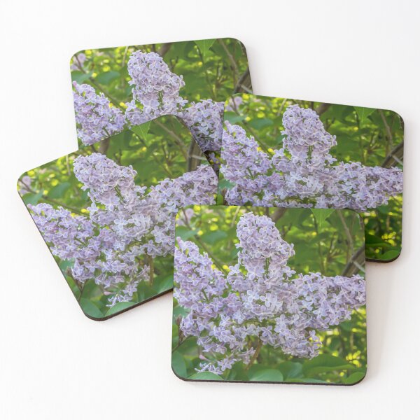 Item preview, Pretty, Purple, Common Lilacs, Syringa Vulgaris, in Full Bloom designed and sold by LINDA MCKUSICK.