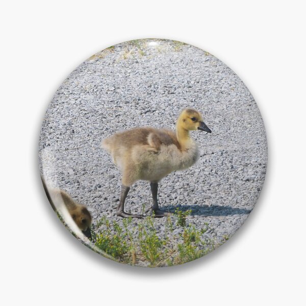 Item preview, Goslings Out For a Walk designed and sold by BackyardBirder.