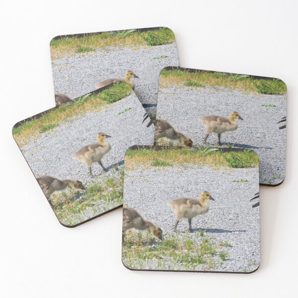 Item preview, Goslings Out For a Walk designed and sold by BackyardBirder.