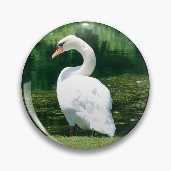 Item preview, Beautiful Mute Swan Standing By a Pond designed and sold by BackyardBirder.
