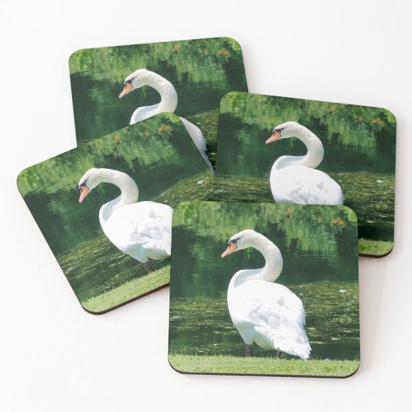 Item preview, Beautiful Mute Swan Standing By a Pond designed and sold by BackyardBirder.
