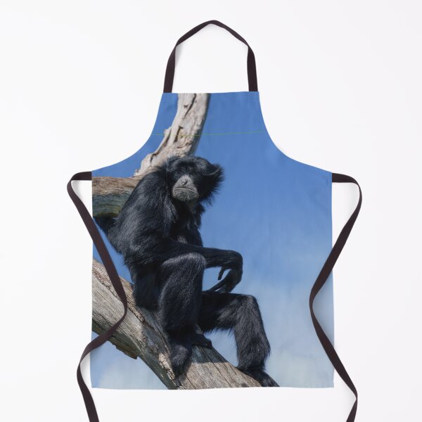 Item preview, Calm Siamang Gibbon Under Open Sky designed and sold by rawshutterbug.