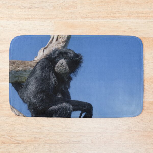 Item preview, Calm Siamang Gibbon Under Open Sky designed and sold by rawshutterbug.