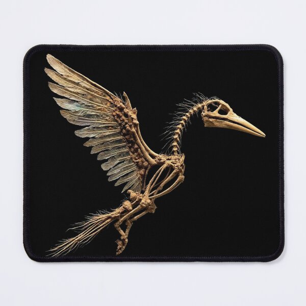 Item preview, Archeopteryx Skeleton designed and sold by Vicarchaeopteryx.