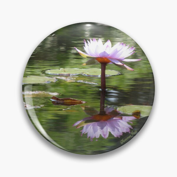 Item preview, Water Lily Mirrored in the Pond designed and sold by SummerJade.