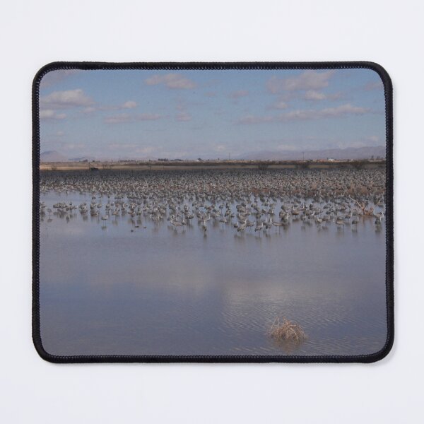 Item preview, Sandhill Cranes designed and sold by sofarsoso.