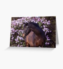 Merlin in the Flowers Greeting Card