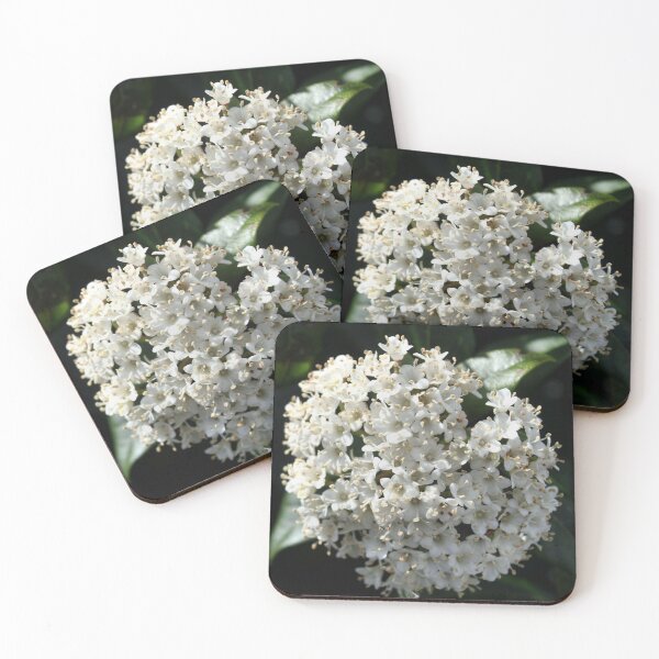 Item preview, flower designed and sold by KathleenDawson.