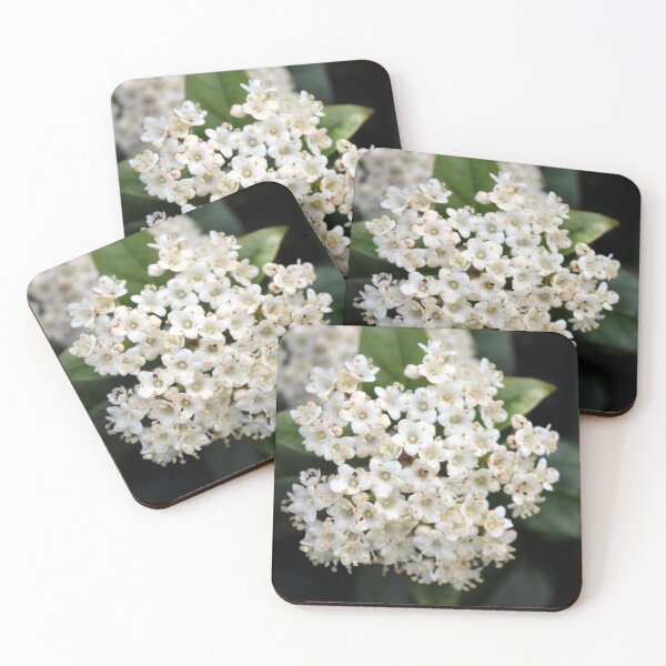 Item preview, flower designed and sold by KathleenDawson.