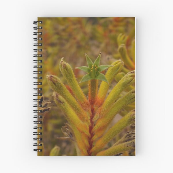 Item preview, Yellow Kangaroo Paw  designed and sold by Linda Sijpkes.