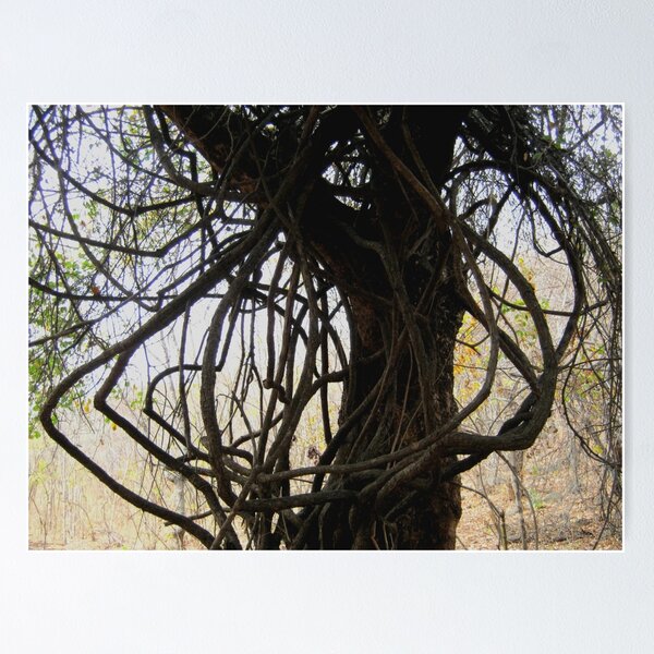Item preview, Octopus Branches designed and sold by RosJoy.