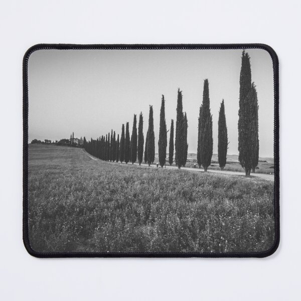 Item preview, Val d'Orcia Landscape in Black & White – Iconic Cypress Trees from Gladiator designed and sold by photo-travel.