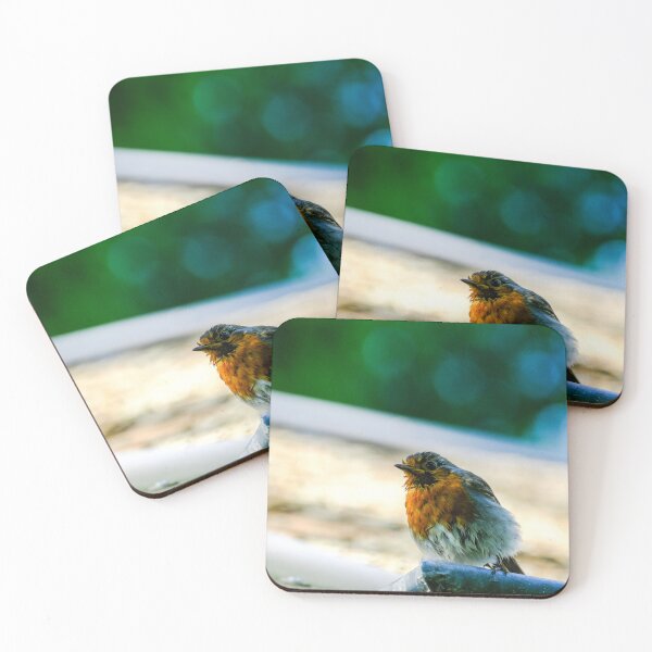 Item preview, Wet little robin on the roof designed and sold by Photopat.